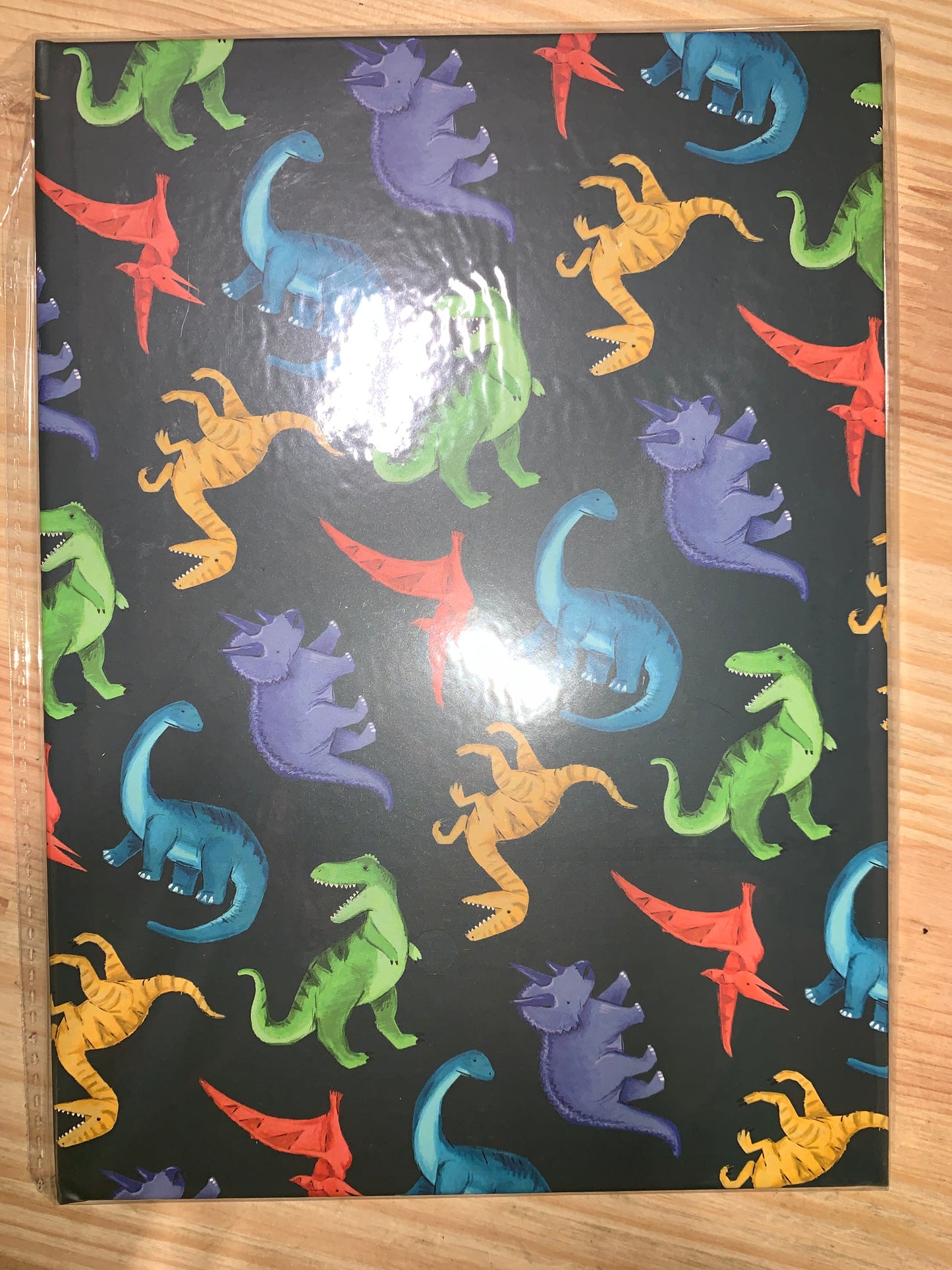 Dinosaur A5 Hardback Notebook