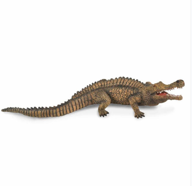 CollectA Sarcosuchus