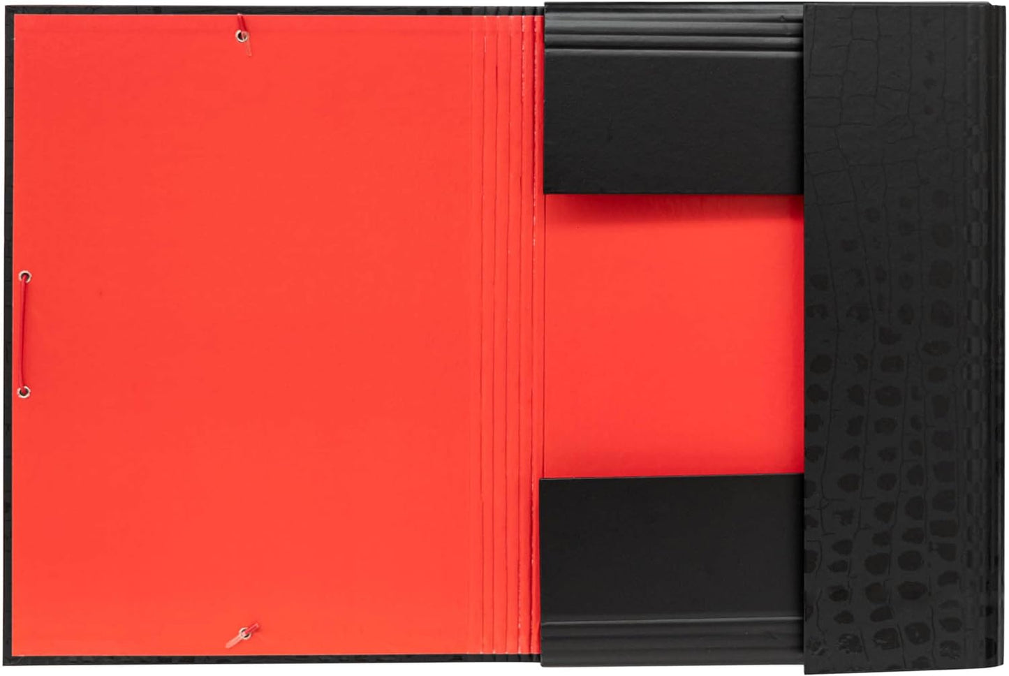 Jurassic Park Premium A4 File Document Folder