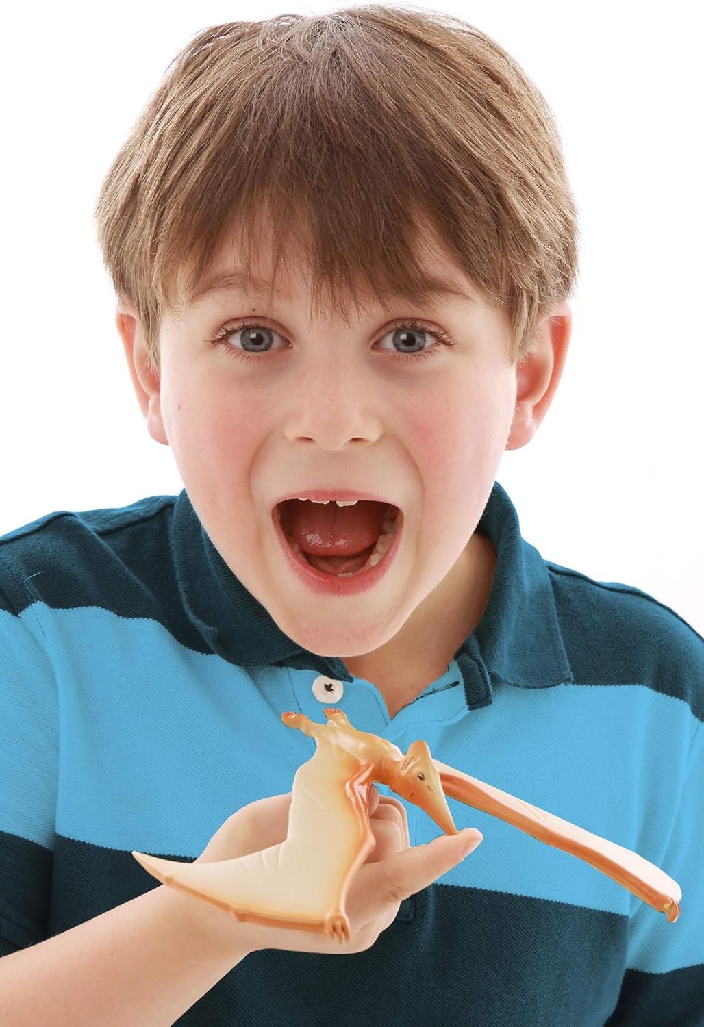 Brainstorm Toys N5150 The Natural History Museum Amazing Balancing Pteranodon