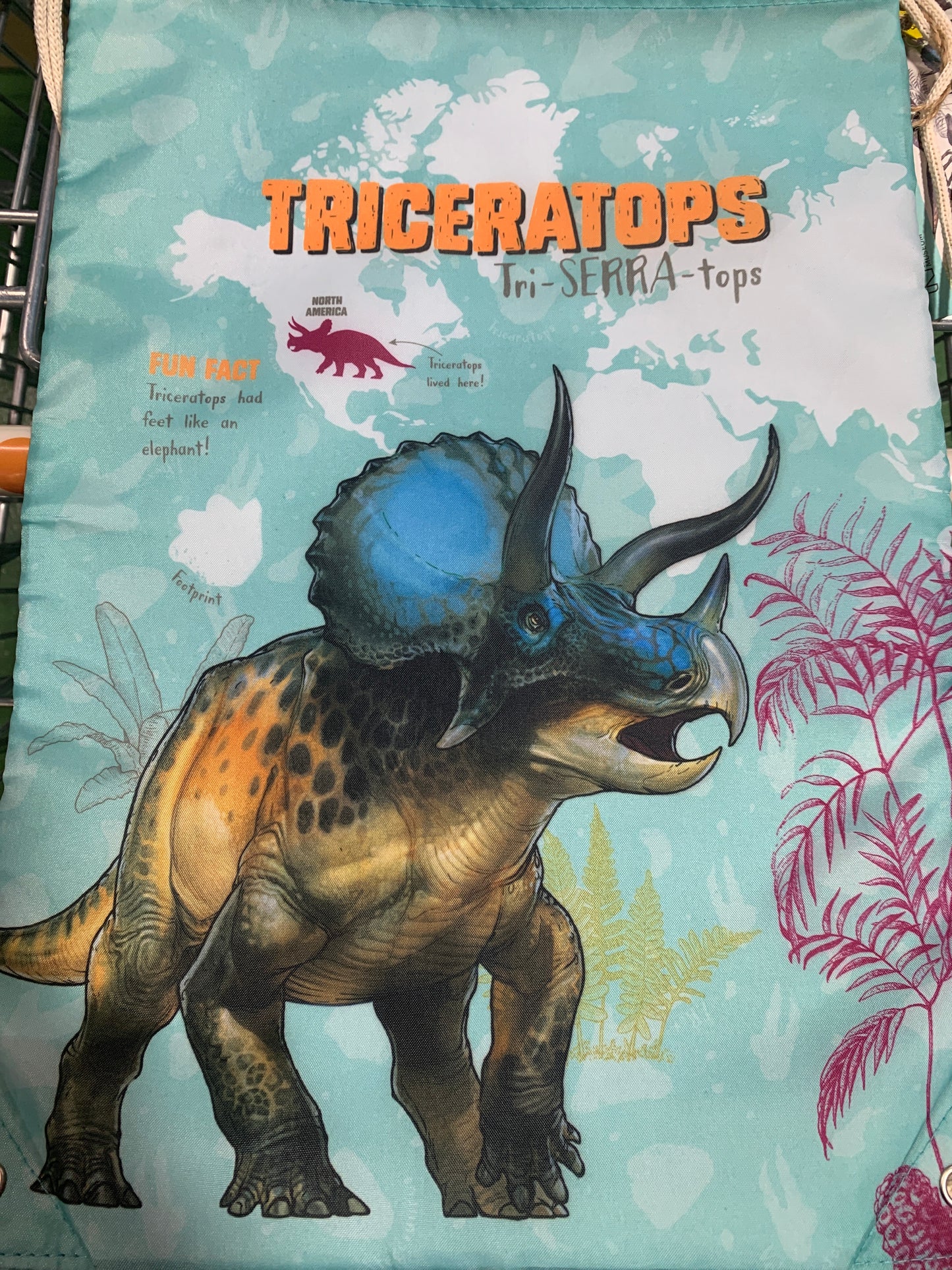 NHM Triceratops trainer bag