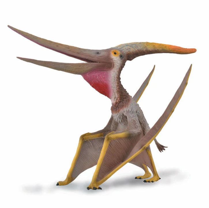 CollectA Pteranodon W/ Movable Jaw - Deluxe 1:40
