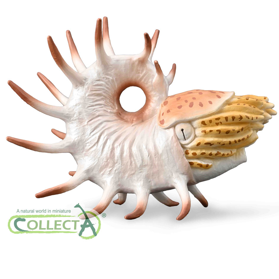 CollectA Cooperoceras