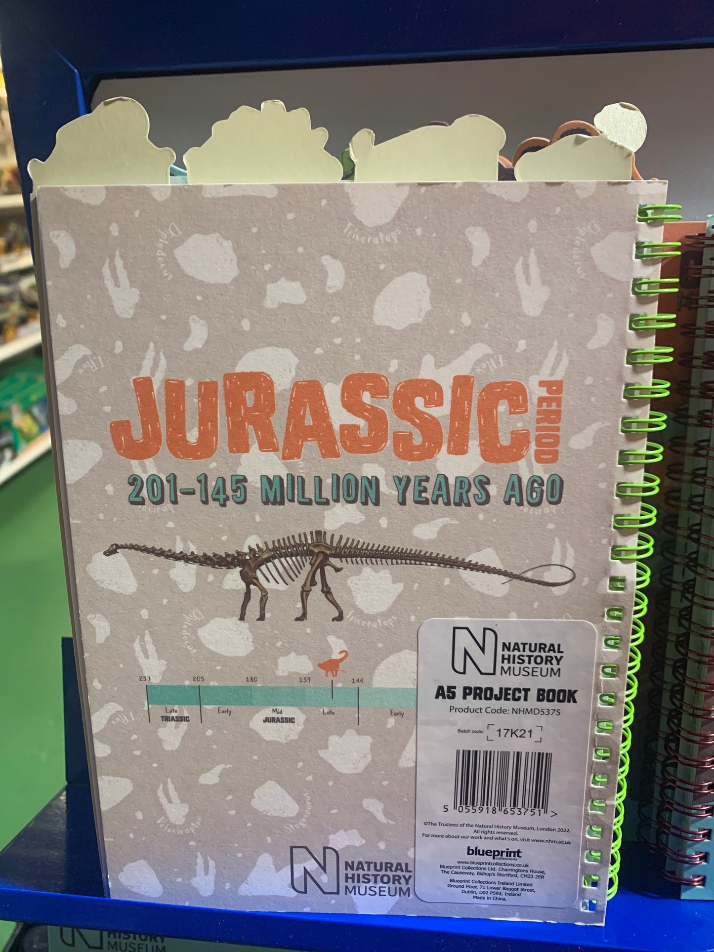 NHM Dinosaur A5 project book