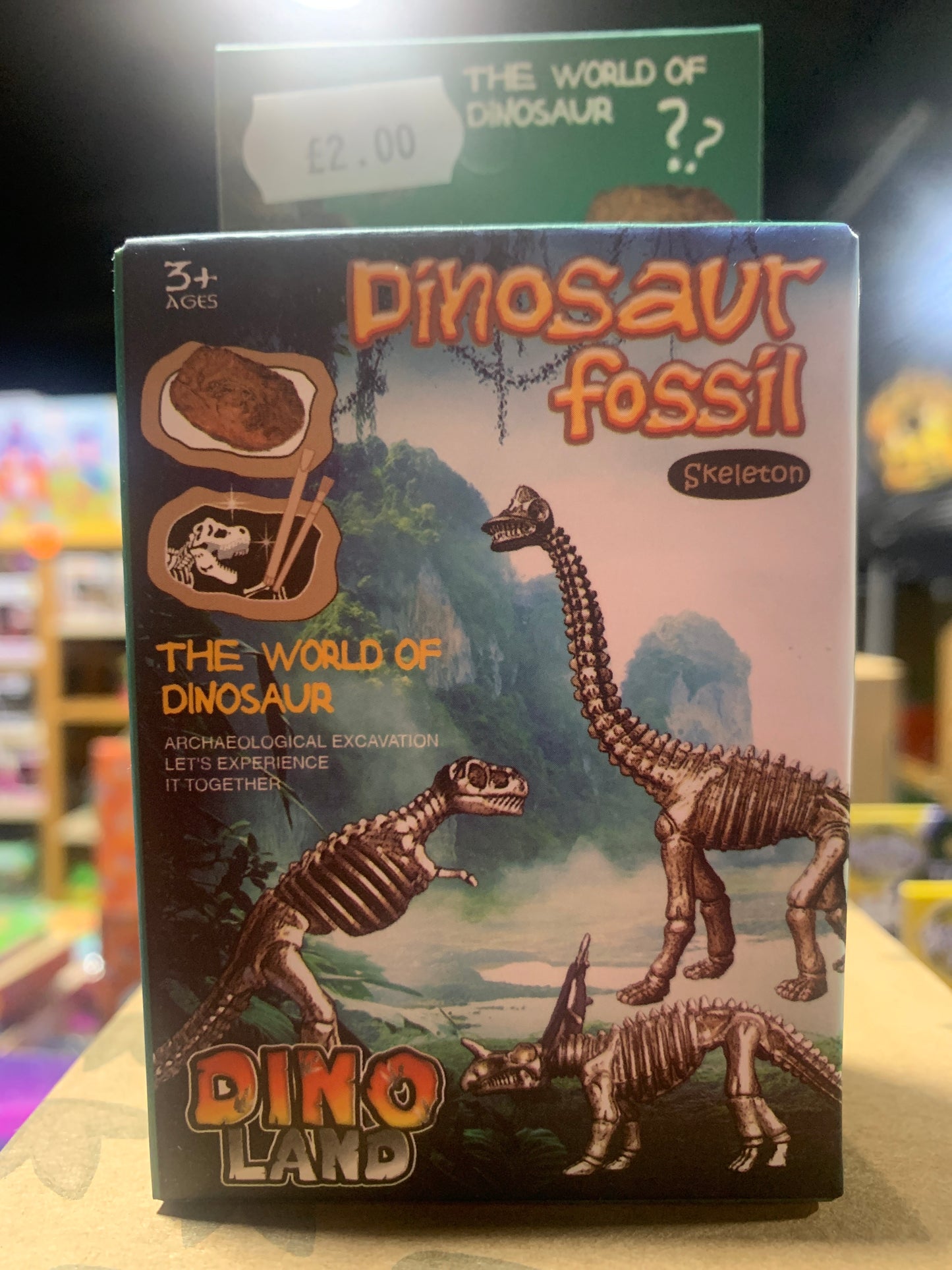 Small Fossil Dig Kit