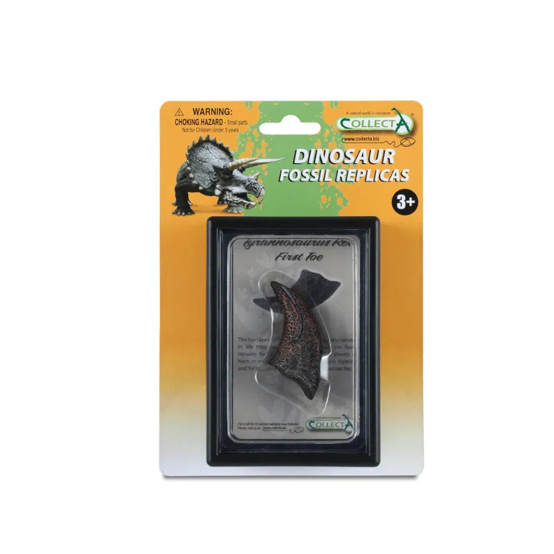 CollectA Replica Fossils - First Toe Of T-Rex
