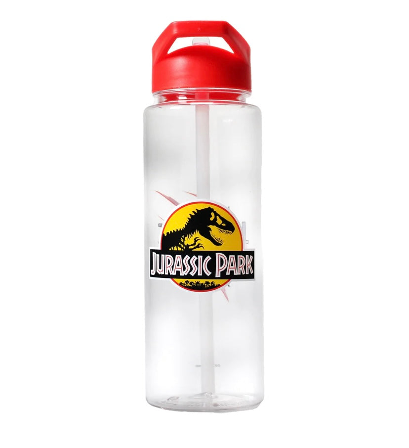 Water bottle with Straw (700ml)
