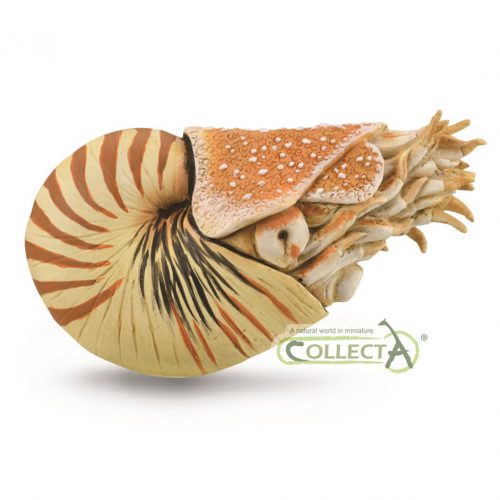 CollectA Nautilus Pompilus