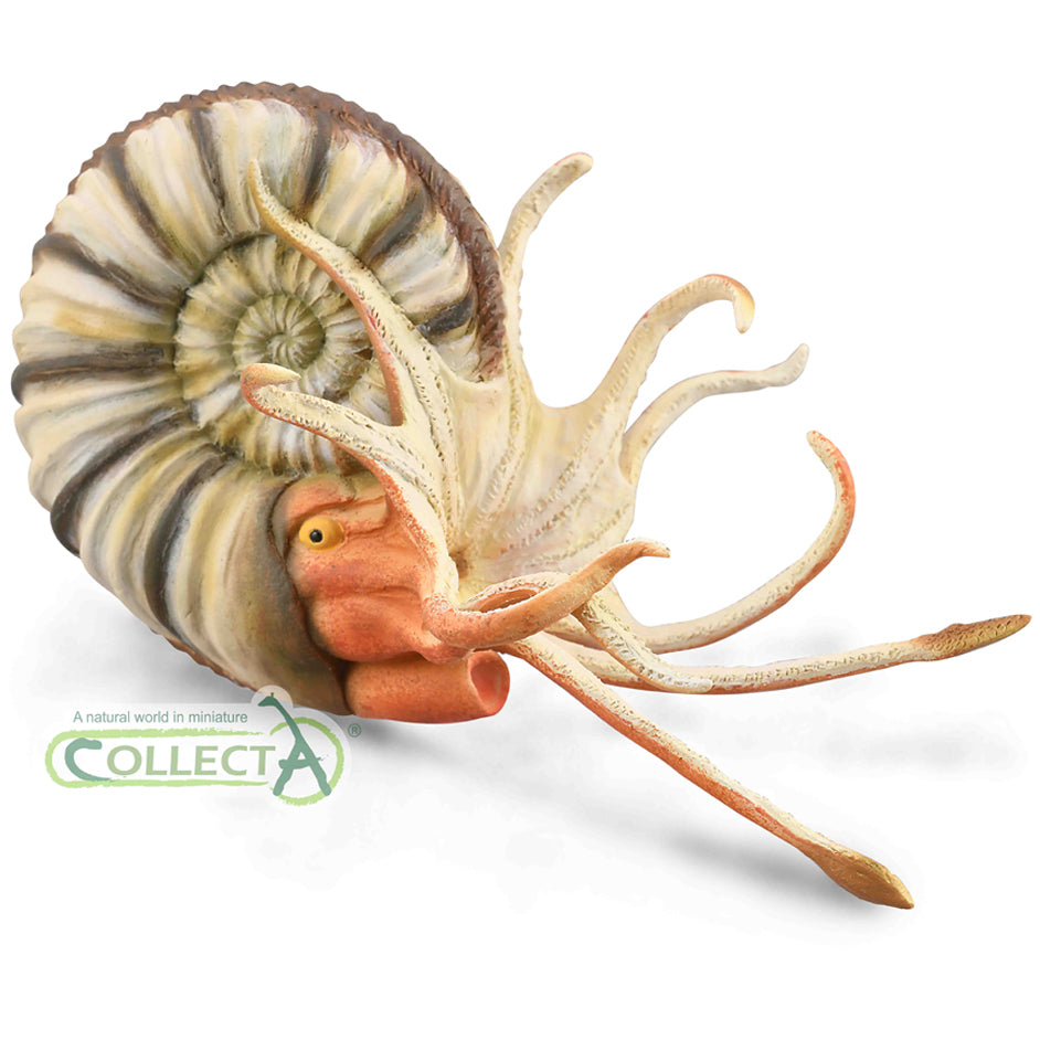 CollectA Pleuroceras Ammonite