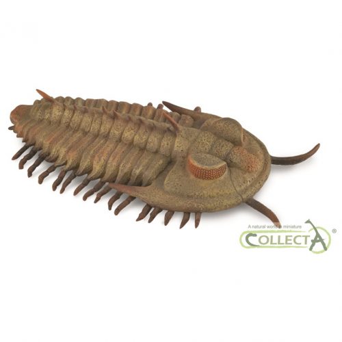 CollectA Redlichia rex Trilobite
