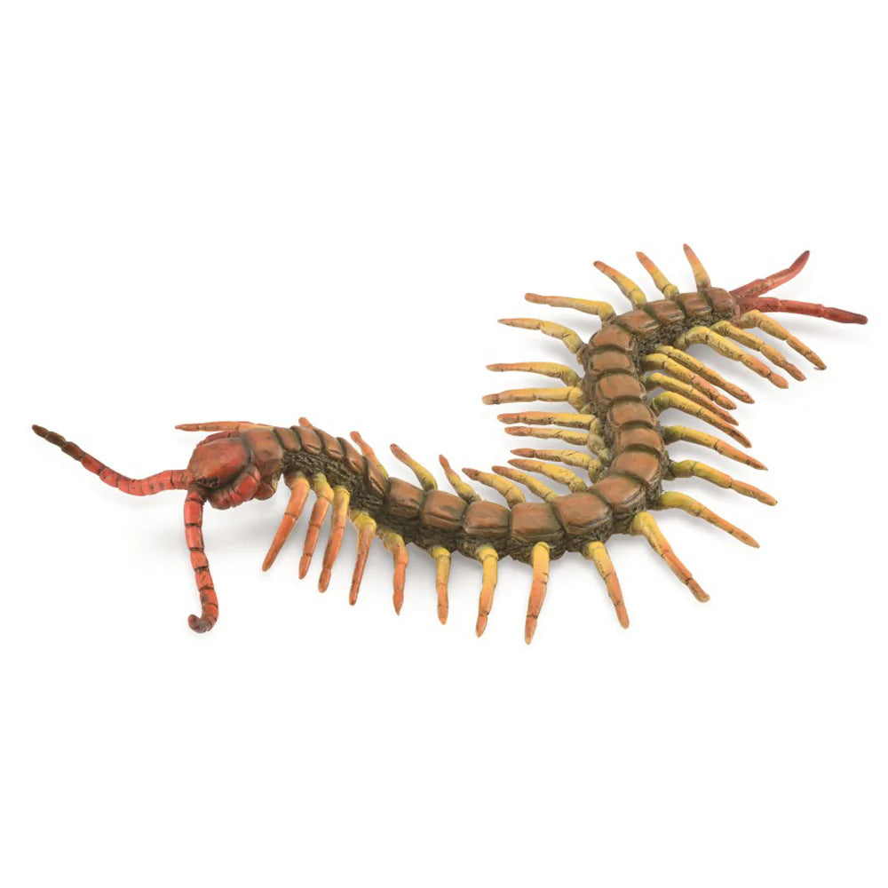 collecta centipede