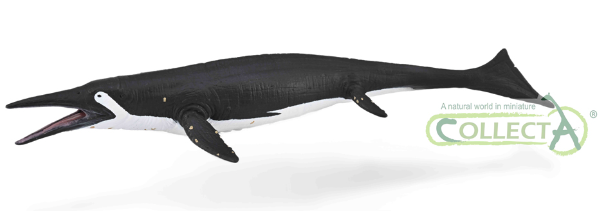 CollectA Shastasaurus