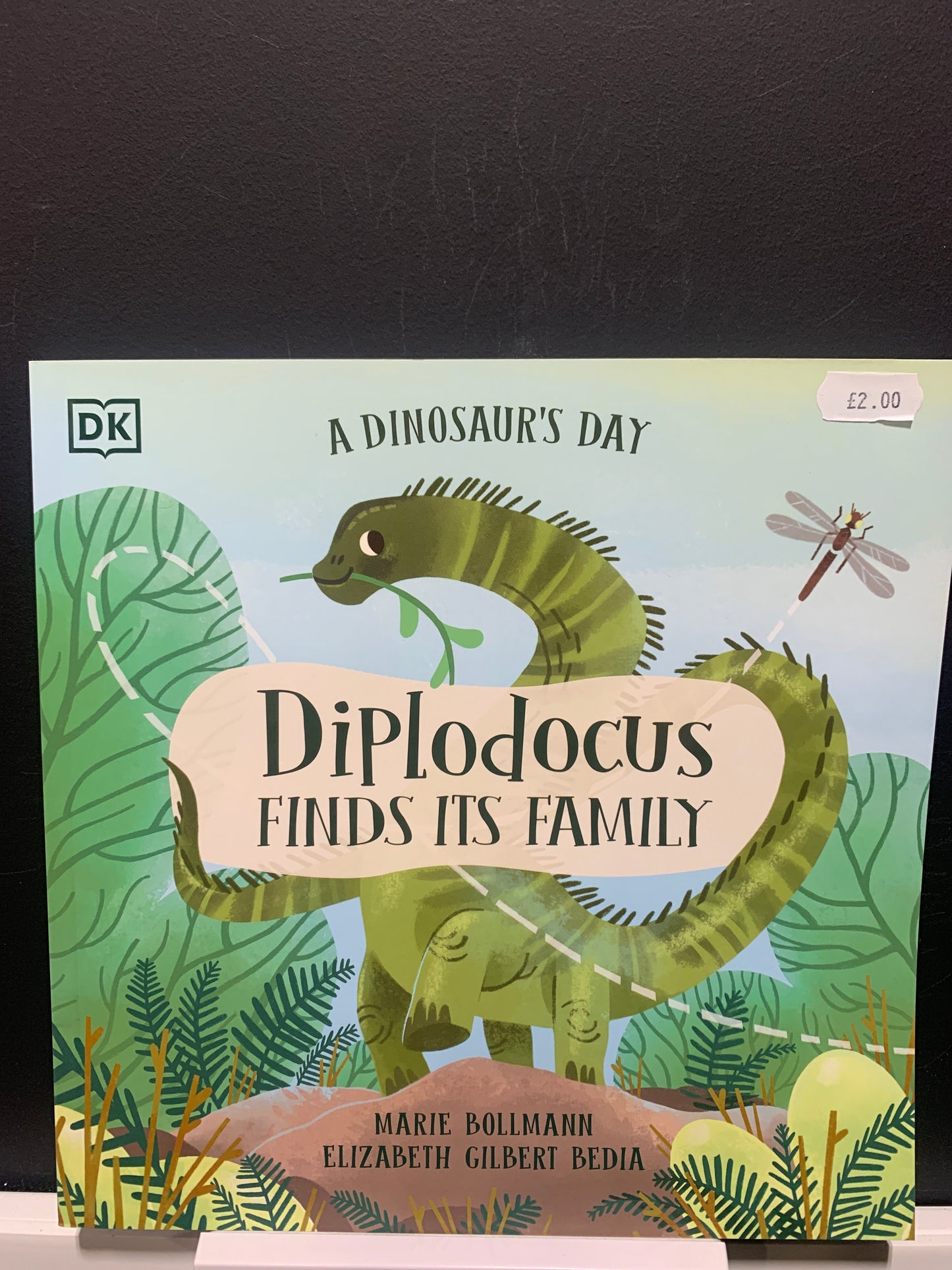 diplodocus finds its family