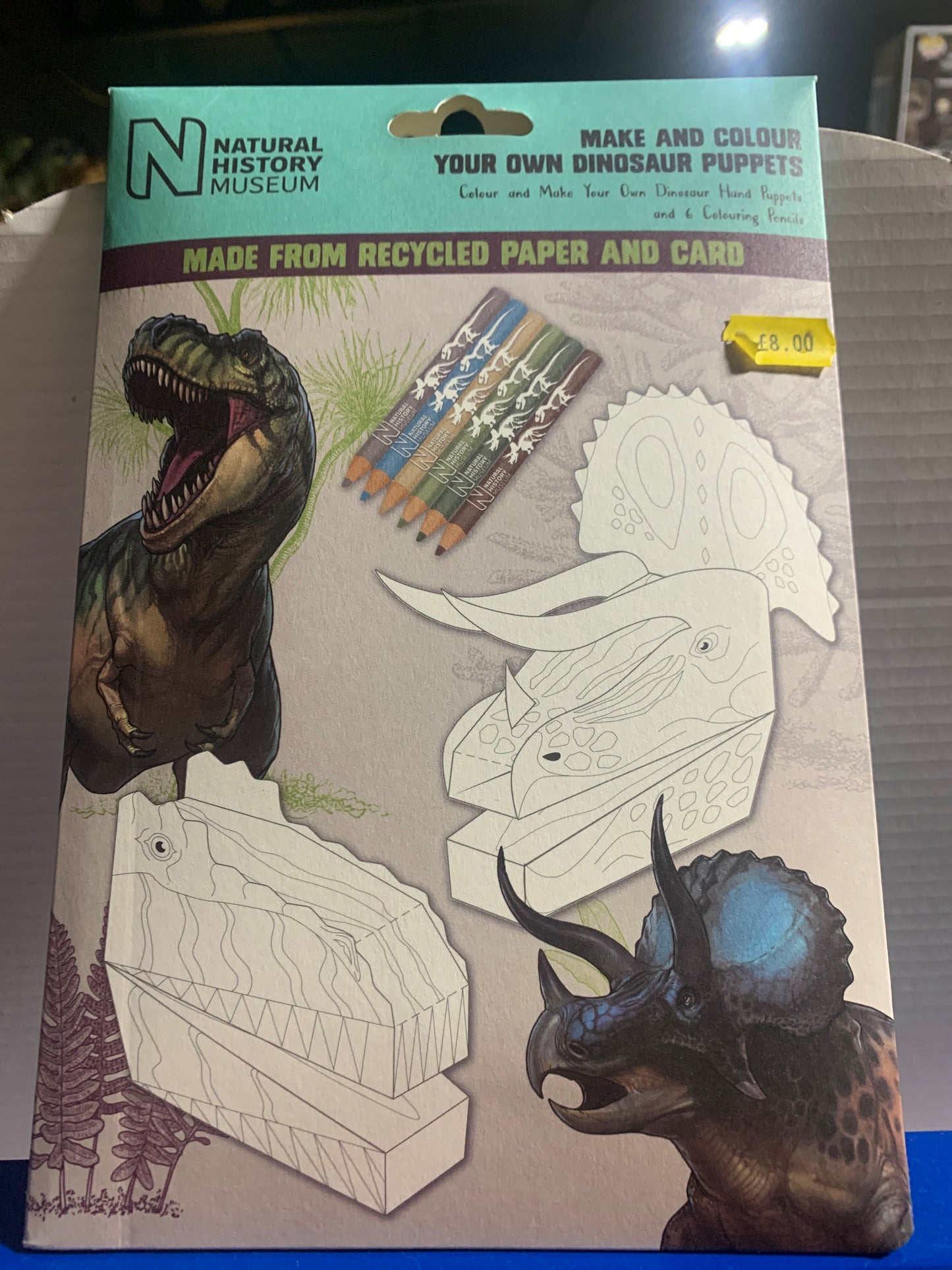 NHM Make your own dinosaur puppets