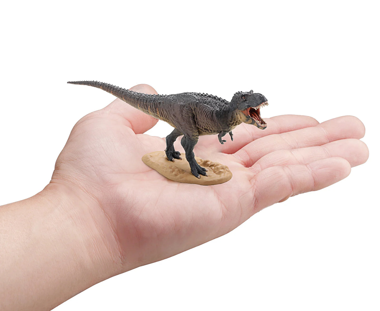 F-Toys DINOSAUR MASTER３
