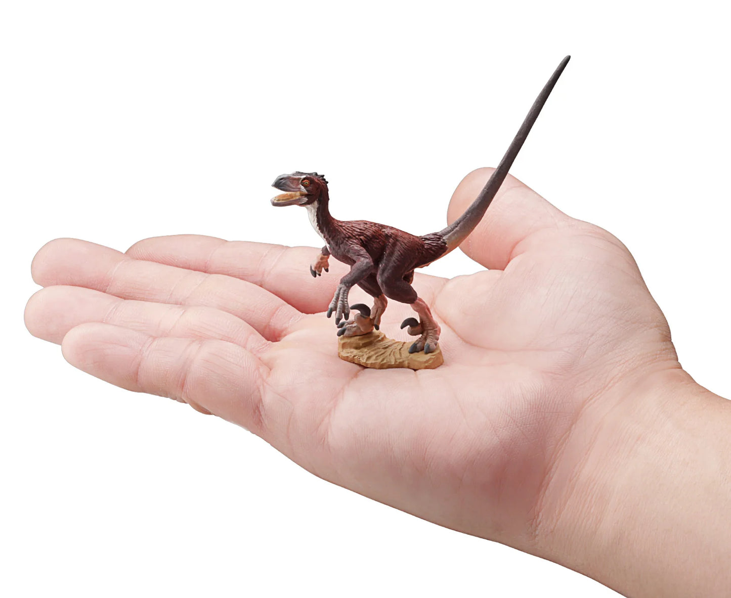 F-Toys DINOSAUR MASTER３