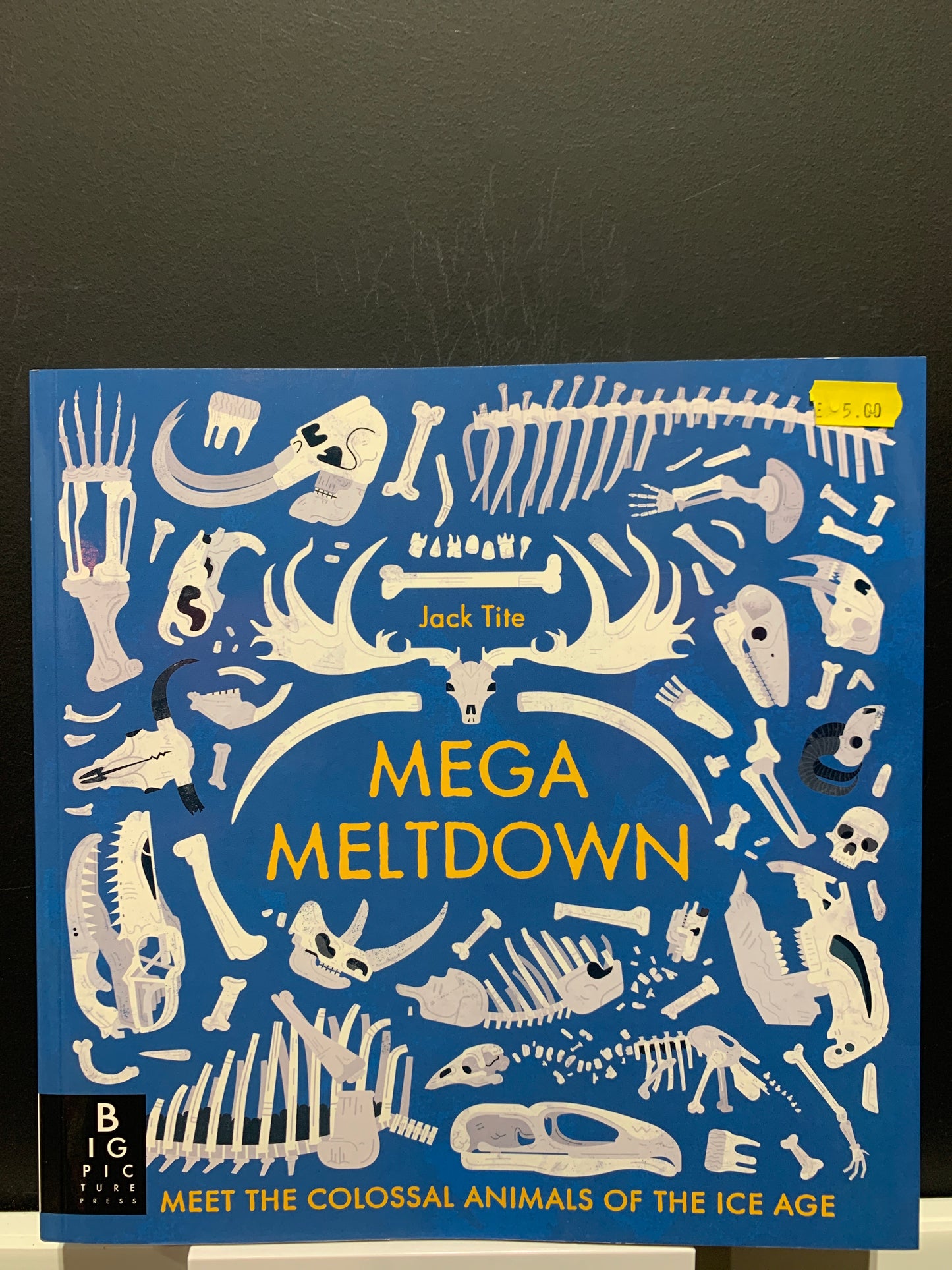 Mega Meltdown