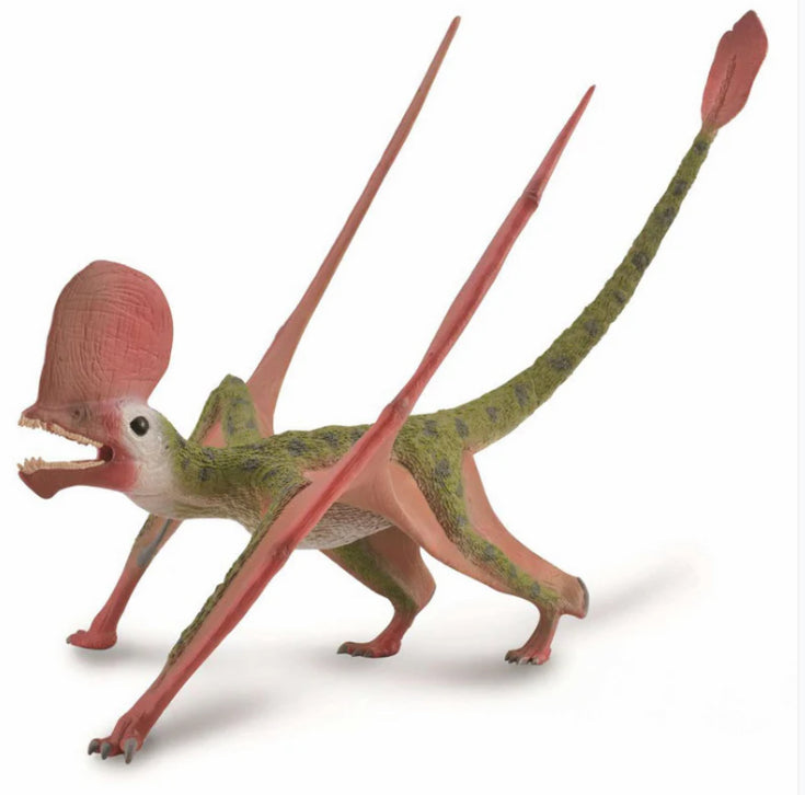 CollectA Caviramus with Movable Jaw 1: 2 Scale