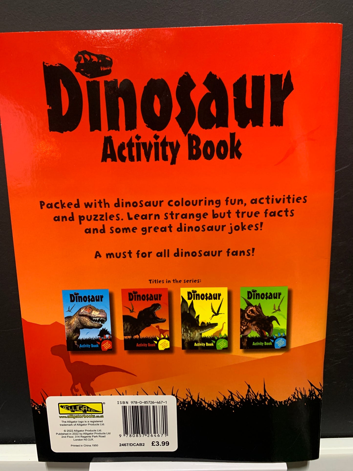 Dinosaur Activity Book