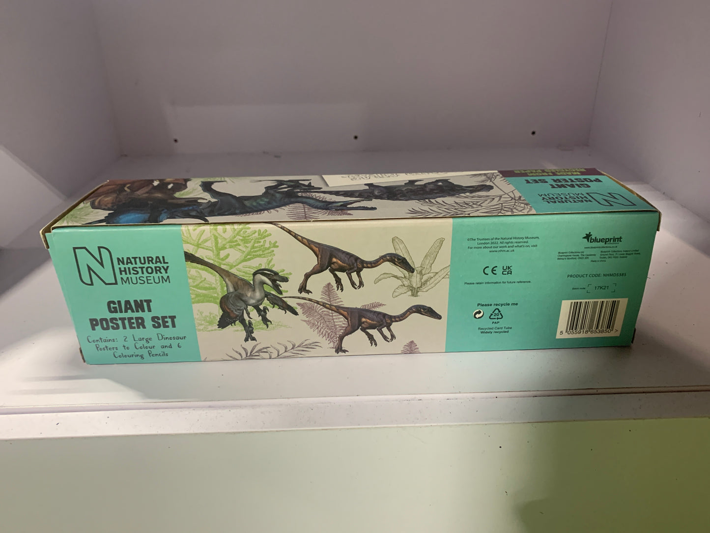 NHM Dinosaur giant poster set