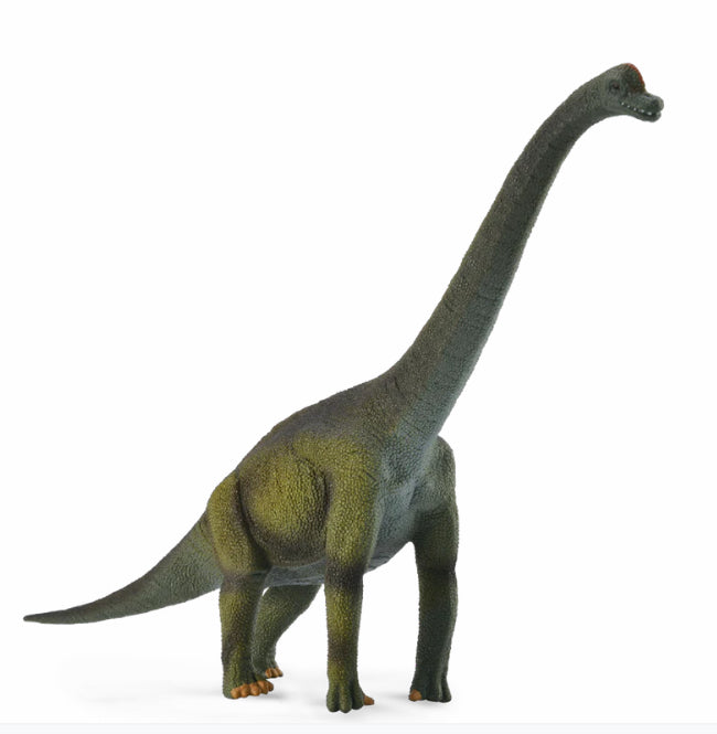 Collecta Brachiosaurus
