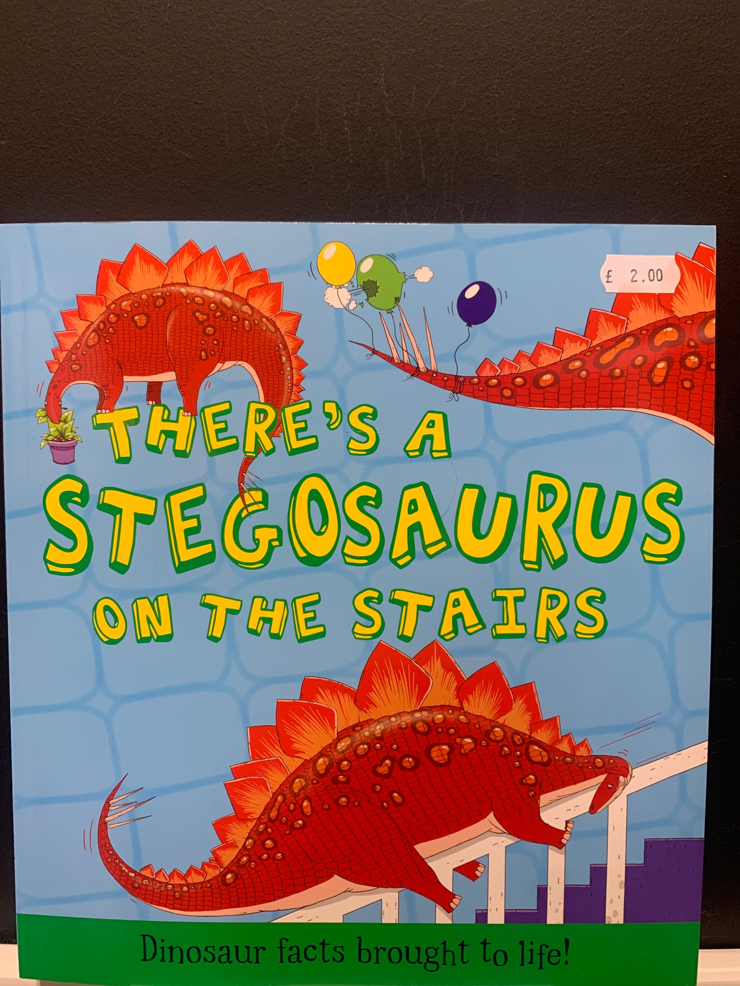 There’s a Stegosaurus on the Stairs