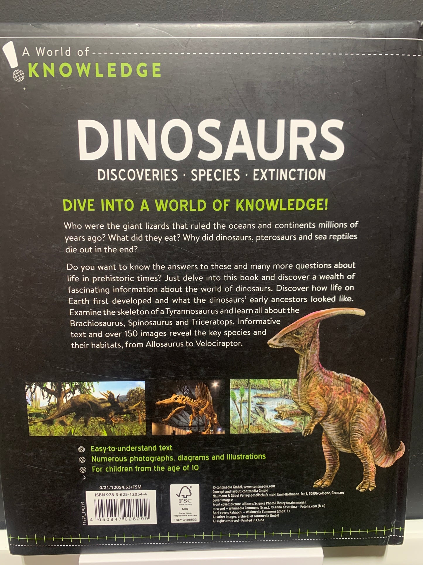 A World of Knowledge Dinosaurs