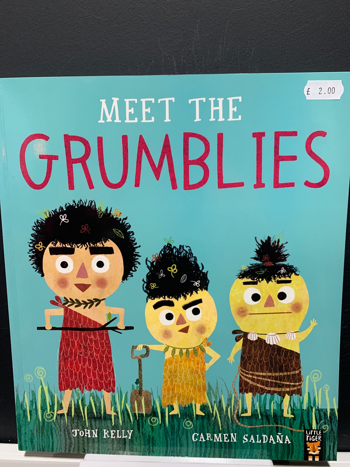 Meet the Grumblies book