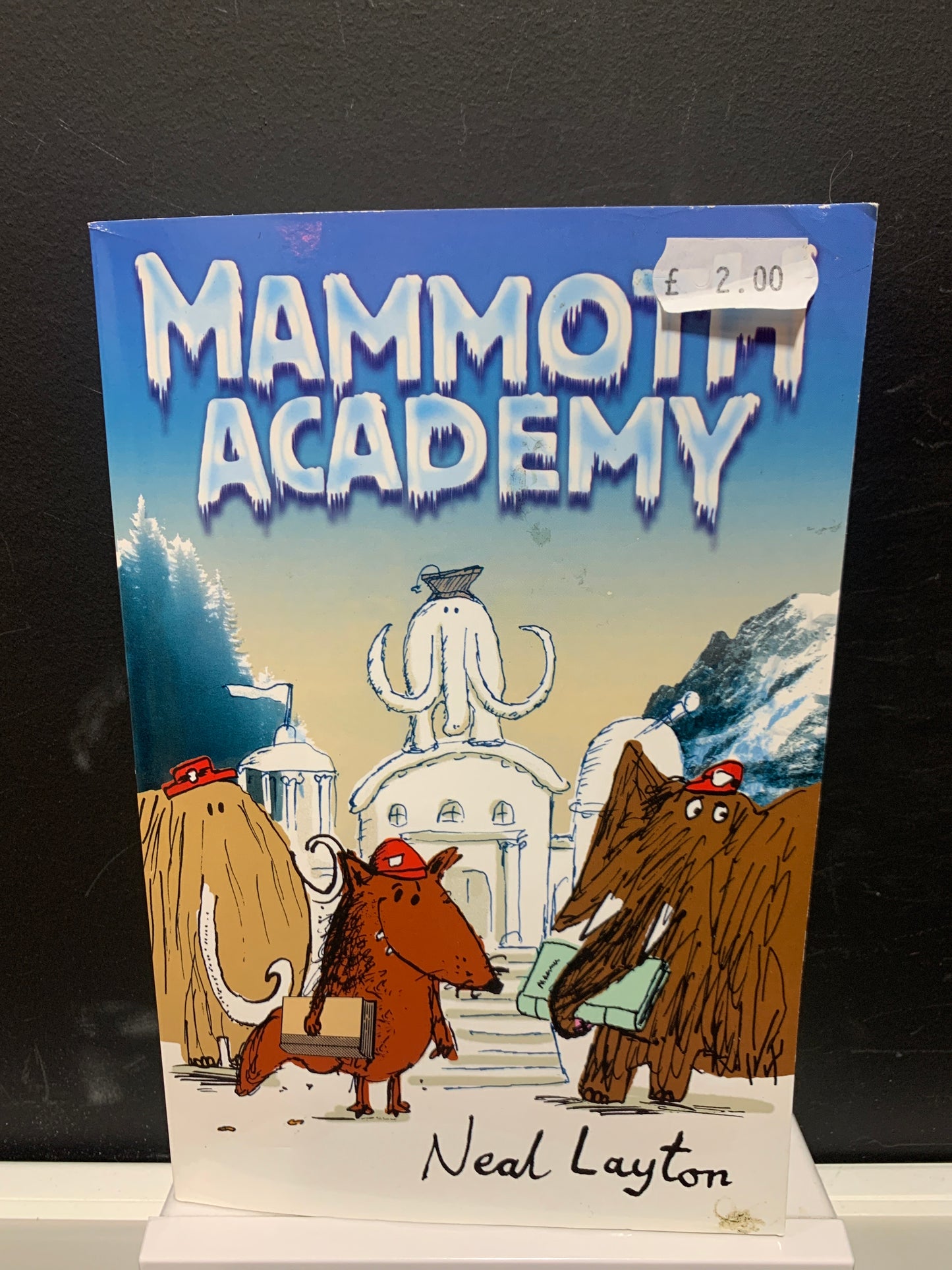 Mammoth Academy