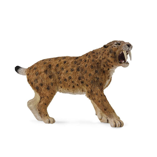 CollectA Smilodon