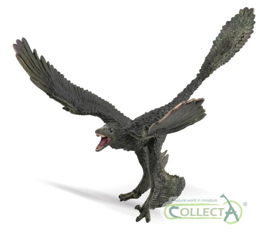 CollectA Microraptor 1:6 Scale