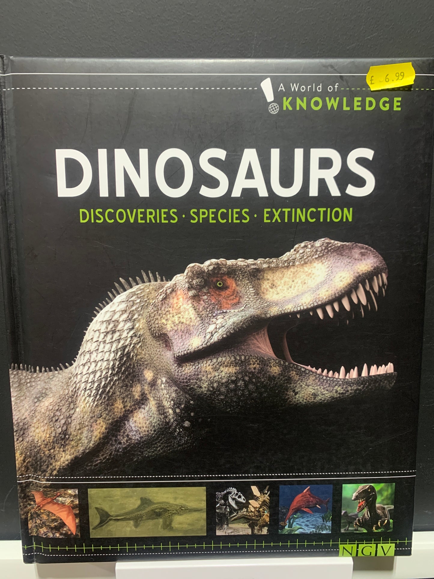A World of Knowledge Dinosaurs