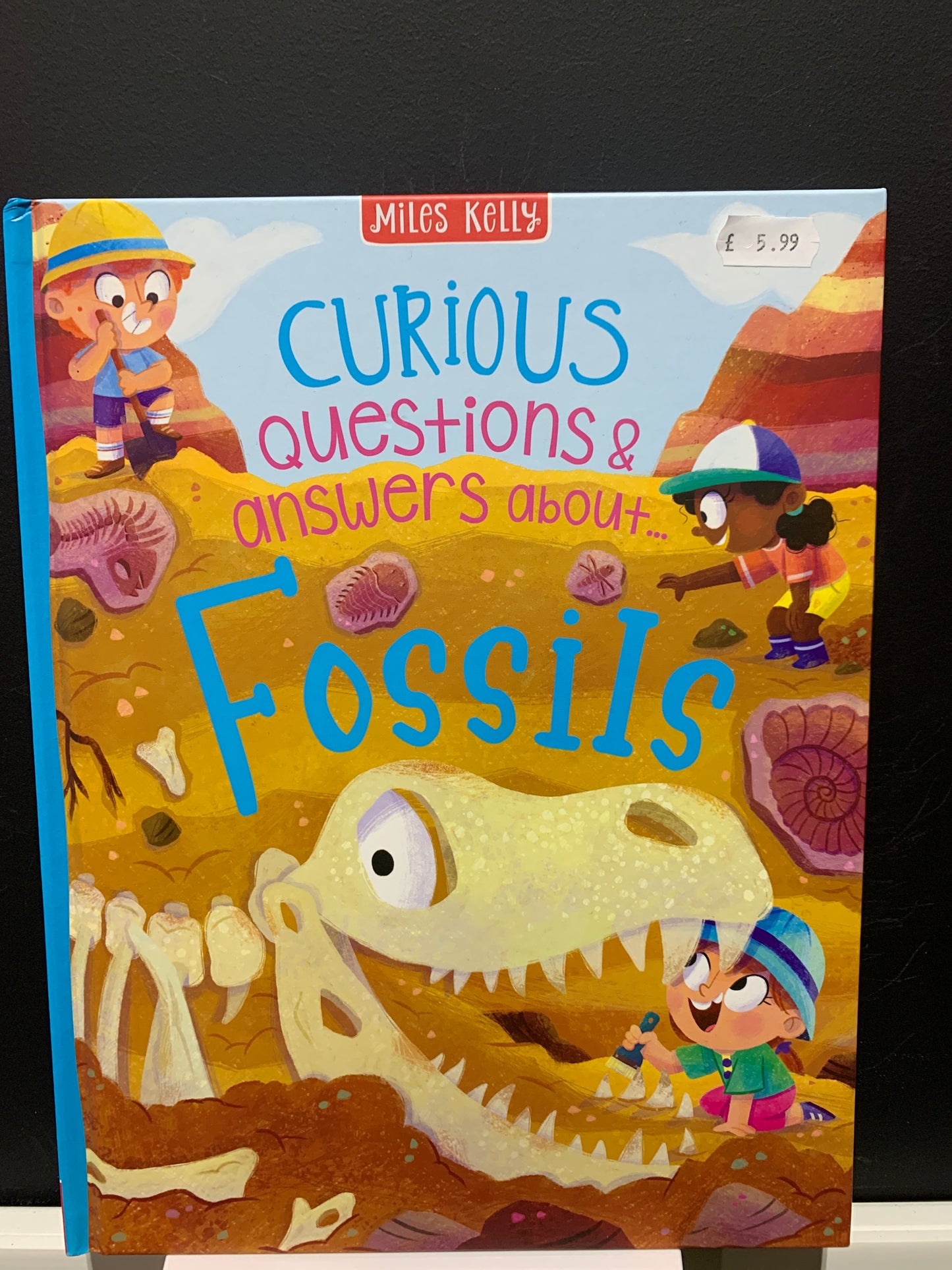 Curious Questions about Fossils Book