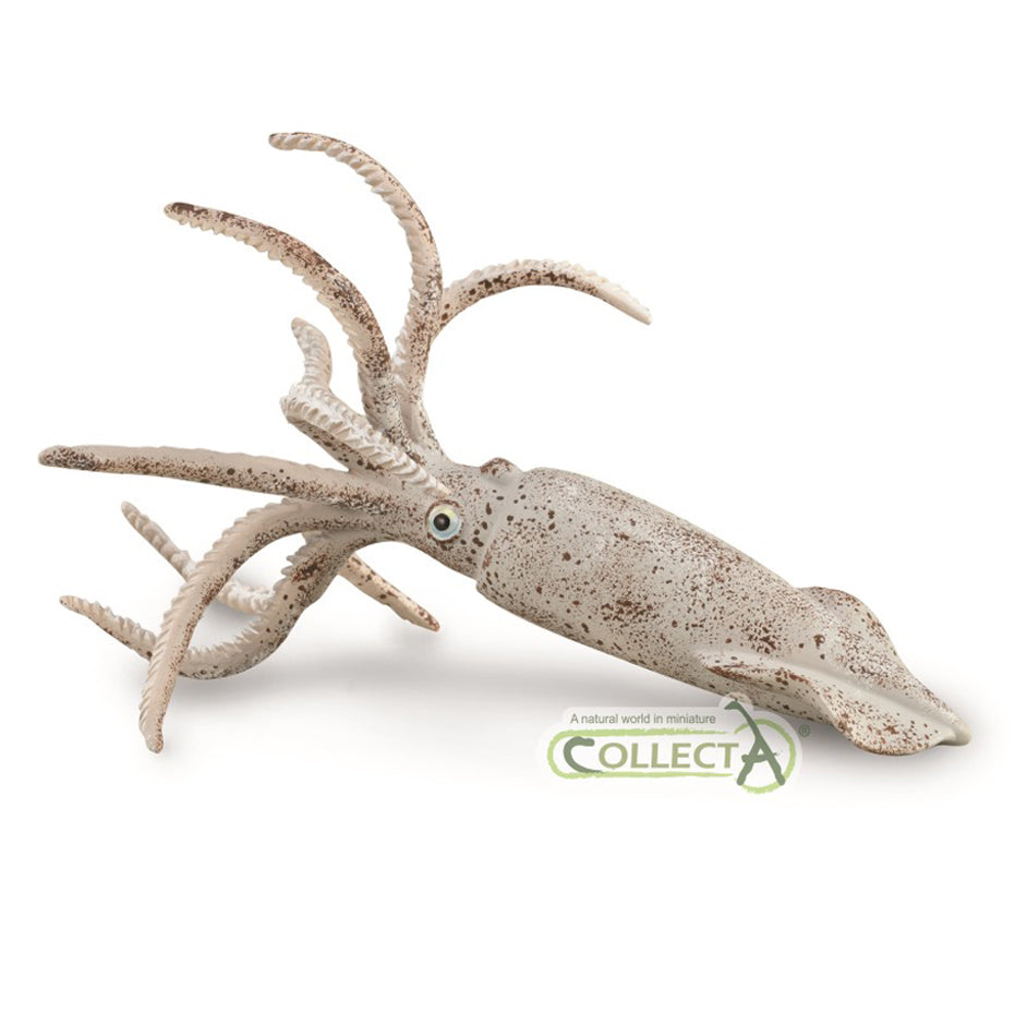 CollectA Belemnite