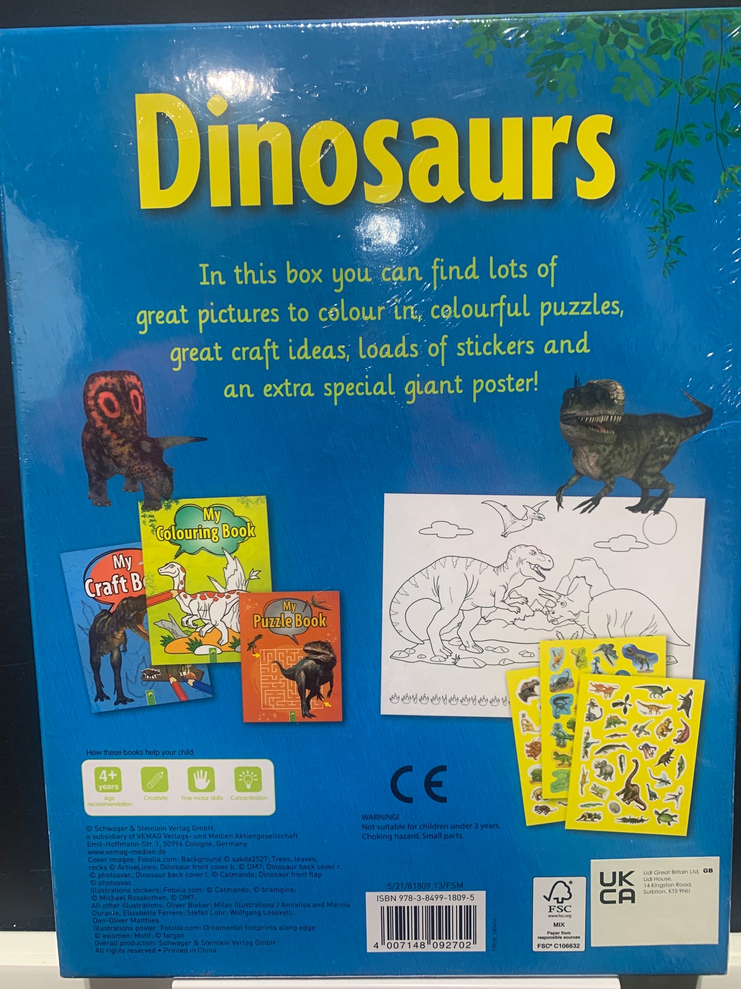 Dinosaurs Activity Pack