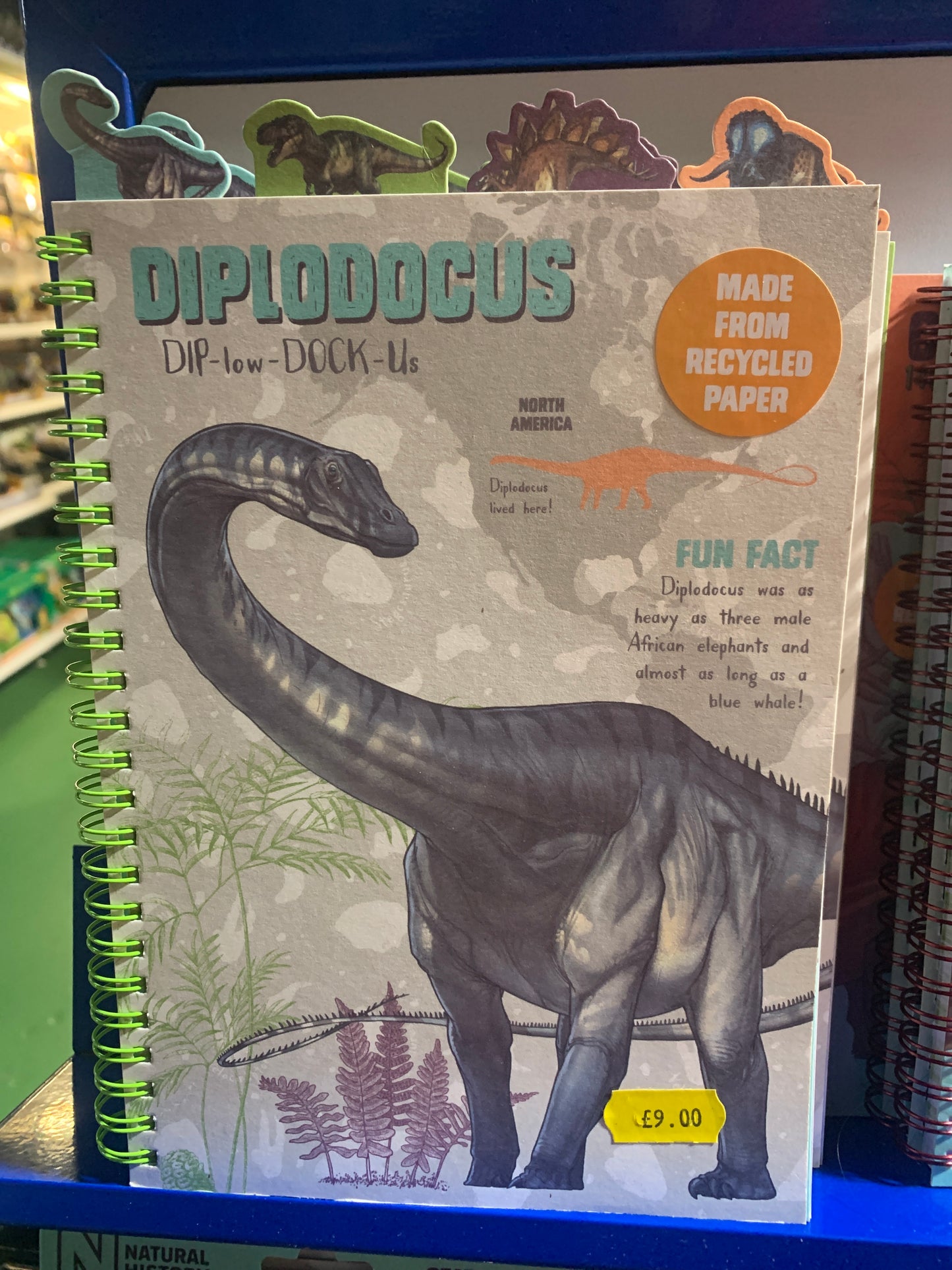 NHM Dinosaur A5 project book