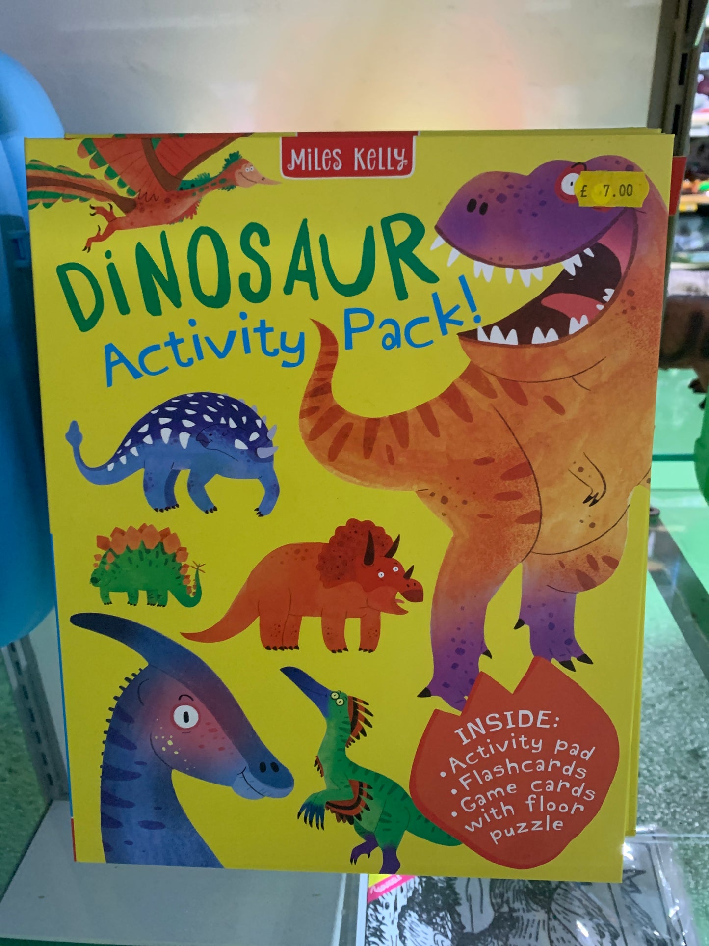 Dinosaur Activity Pack