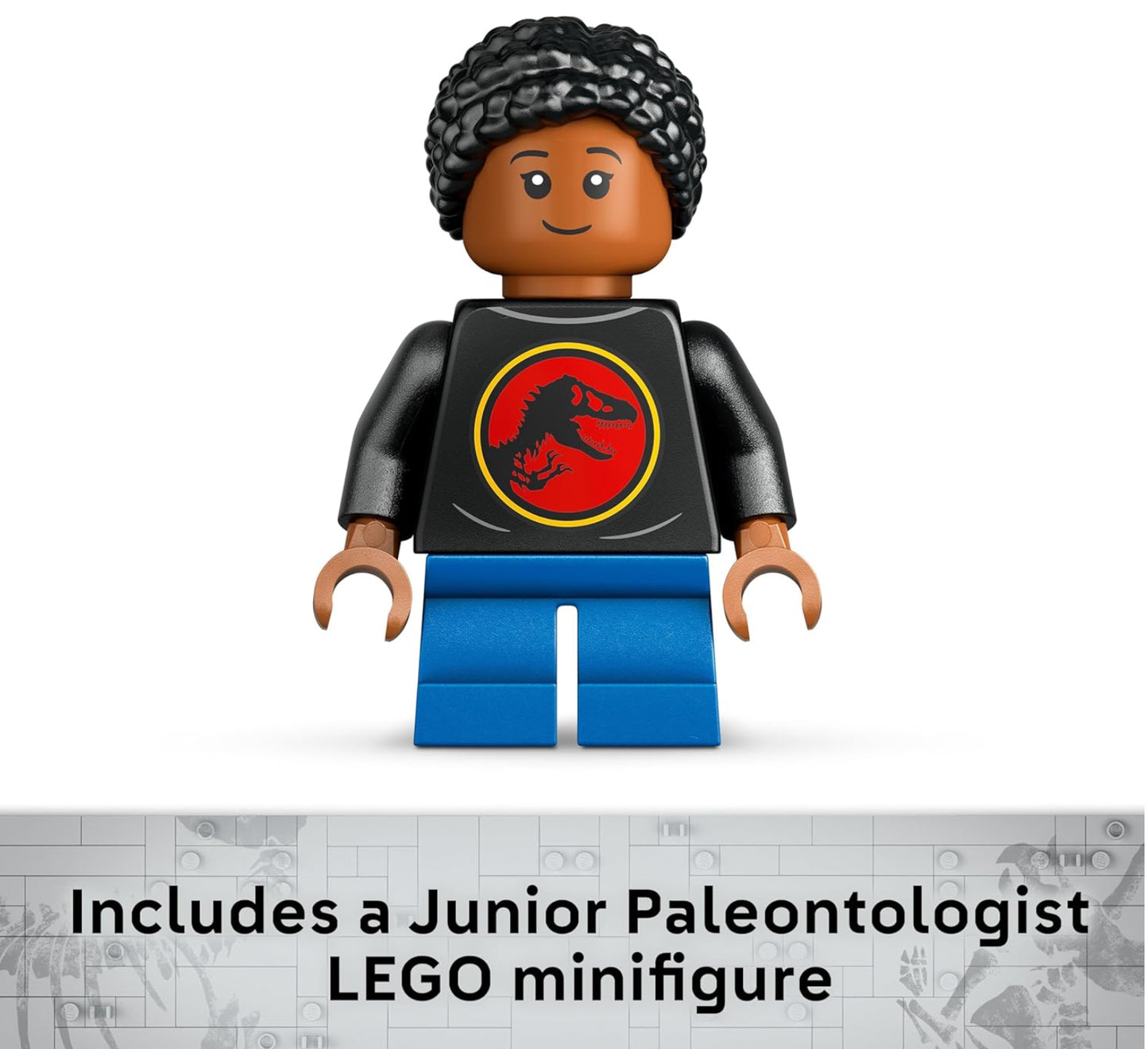 Lego 76969 Triceratops Skull