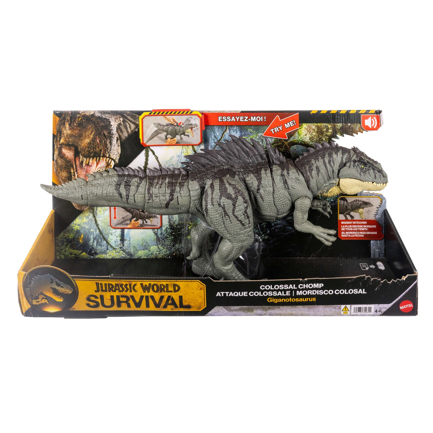 Jurassic World Survival Colossal Chomp Giganotosaurus Figure with Big Bite