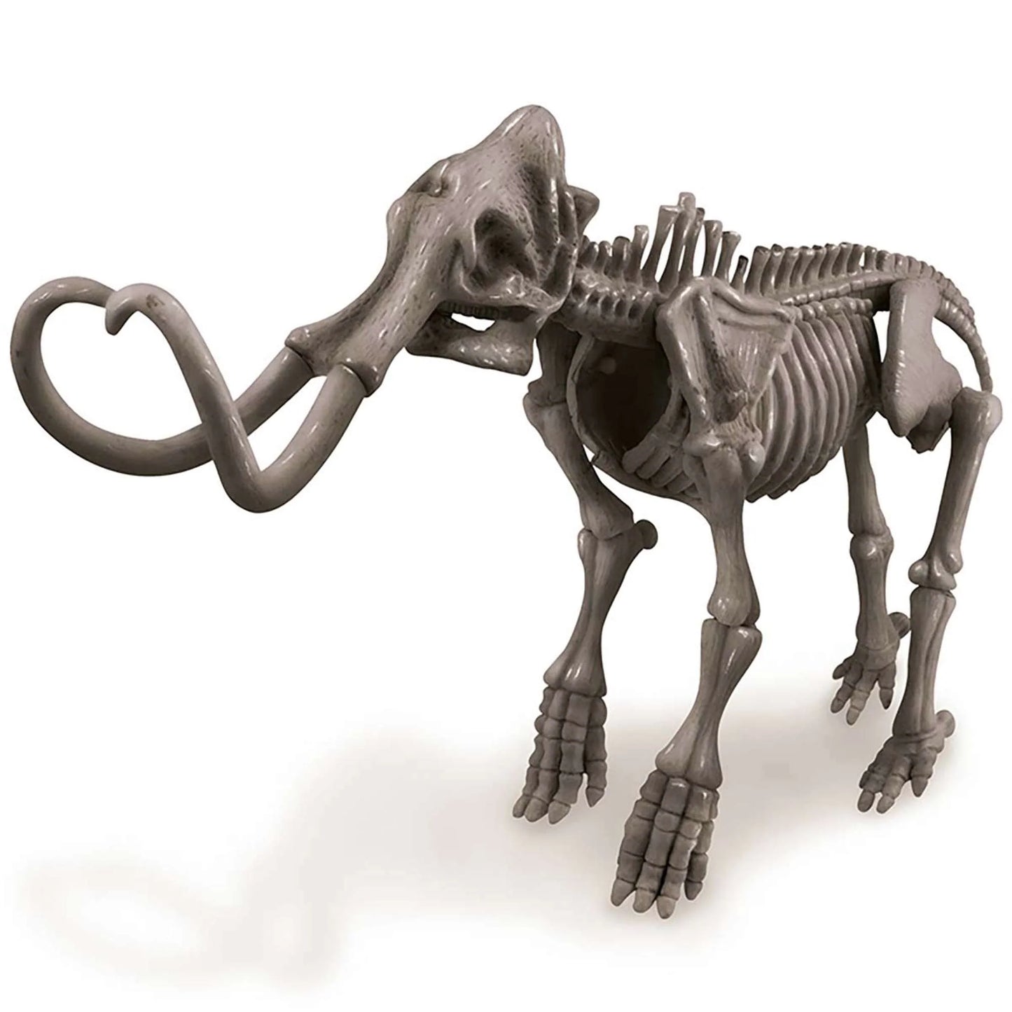 KidzLabs - Dig a Mammoth Skeleton