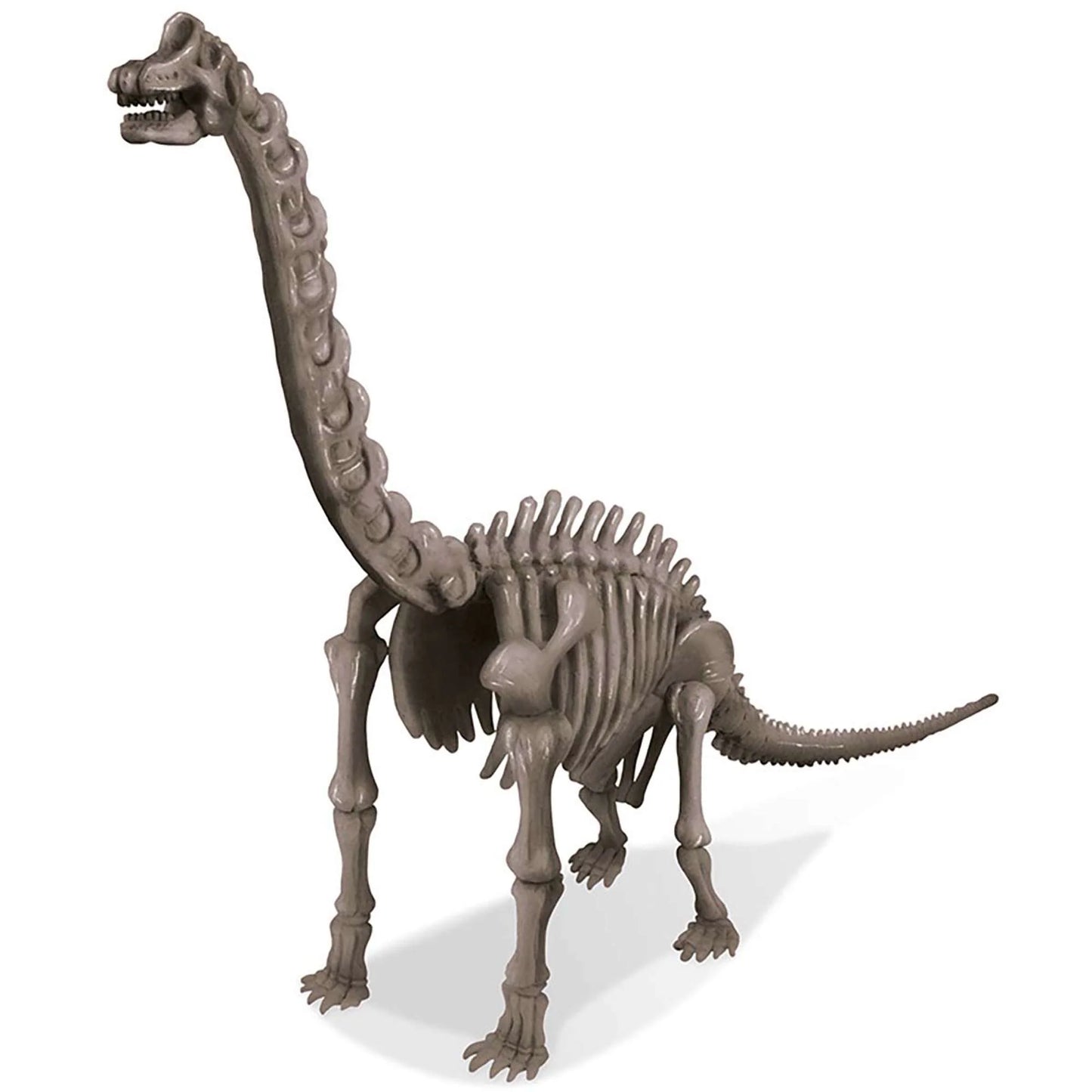 KidzLabs - Dig a Dinosaur Skeleton - Brachiosaurus