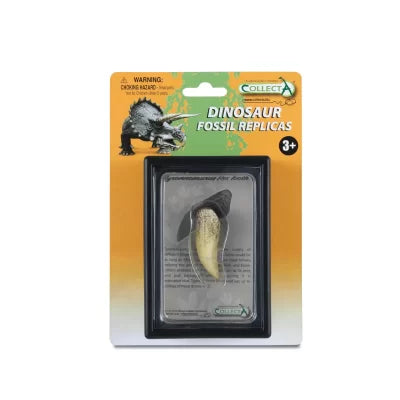 CollectA Replica Fossils - T-Rex Tooth