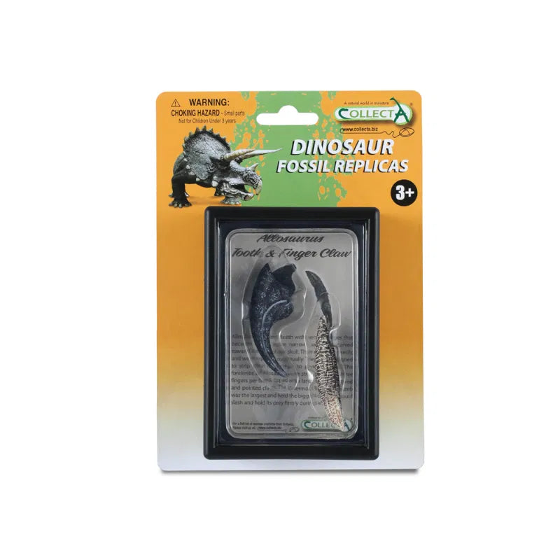 CollectA Replica Fossils – Tooth & Finger Claw Of Allosaurus
