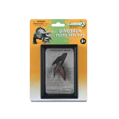 CollectA Replica Fossils - Triceratops Tooth