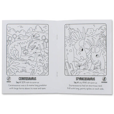Fun Station Paint with Water Dinosaurs