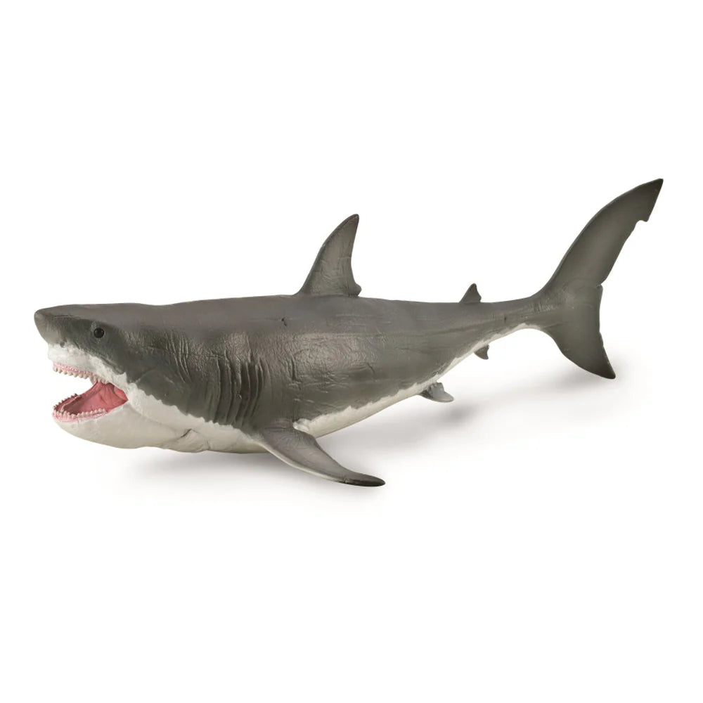 CollectA Megalodon Shark Model with Movable Jaw Deluxe 1:40