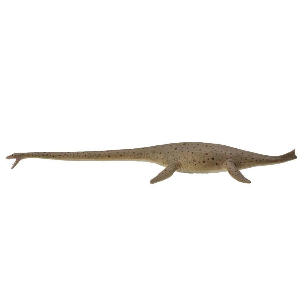 CollectA Thalassomedon 1:40 (Deluxe)